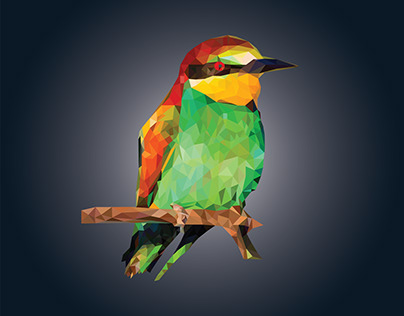 Colourful Bird Portrait , Low Poly ART