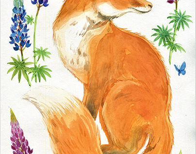 Fox and Lupines