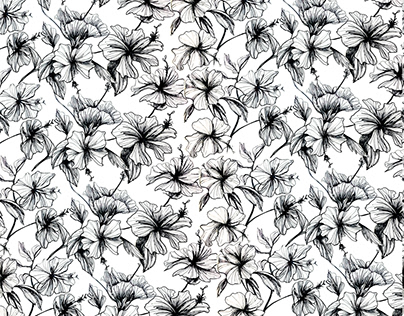 Floral Line Drawing Pattern