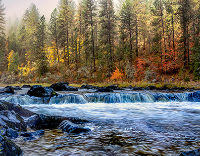 Autumn Along the Southfork of the Clearwater in Idaho