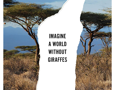 Save the Giraffe