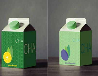 Kombucha brand packaging idea