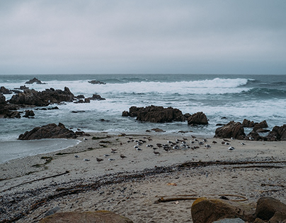 Stormy day in Monterey