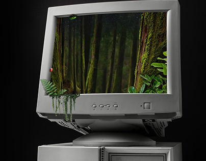 Computer-Wald