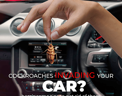 Cockroach Invading Car