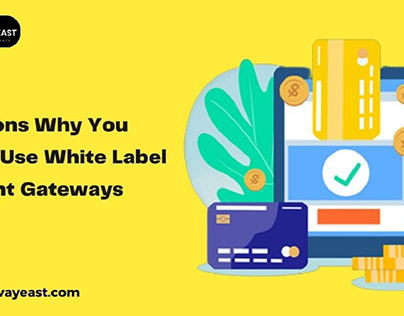Why You Should Use White Label Payment Gateways