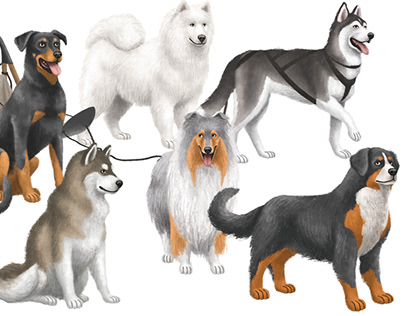 Dog illustration : sled dogs
