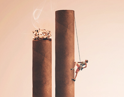 Villiger: The World of Cigars