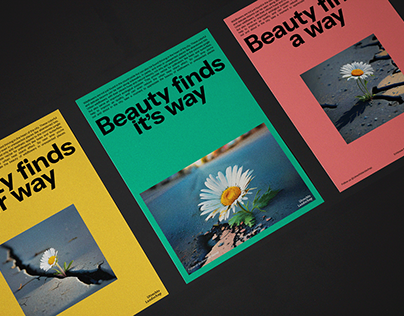 Poster design - Beauty finds it's way