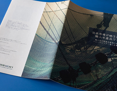 Report design for a Japanese consulting firm, 01