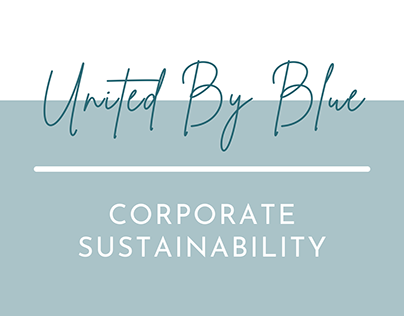 The Responsibility Model - Corporate Sustainability