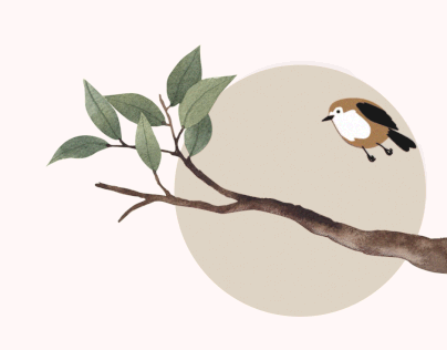 Sparrow Rigging Animation