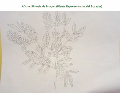 Sintesis de Imagen (Flor Representativa del Ecuador)