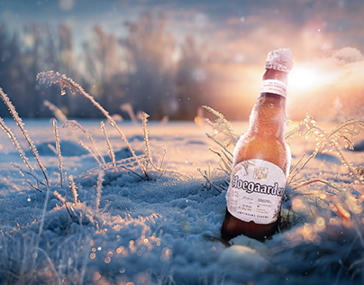Project thumbnail - Hoegaarden - beer on ice