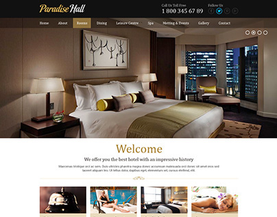 Hotel Website Concept