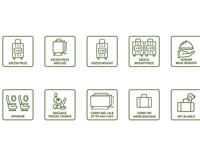 Baggage types icons