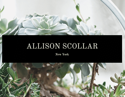 Allison Scollar New York