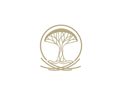 logo Socotra Foundation / شعار مؤسسة سقطرى