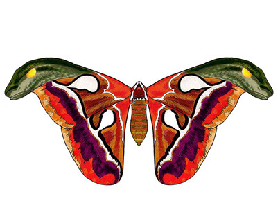 Mothy Python