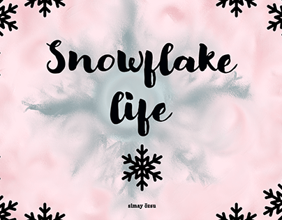 Snowflake/silentbook