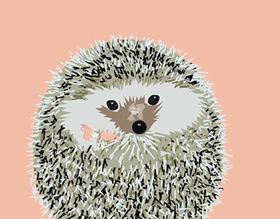 Hedgehog Drawing.