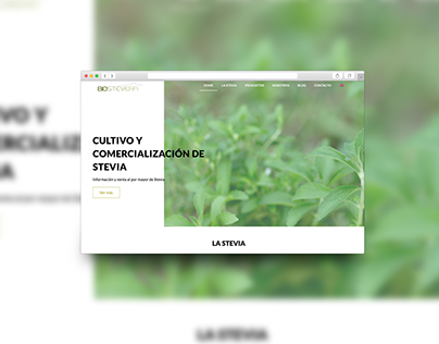 Web Design | Biostevera