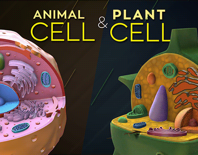 Animal Cell Projects | Photos, videos, logos, illustrations and branding on  Behance