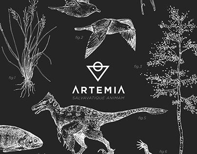 Artemia Branding