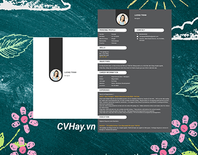 CVHay_Designer
