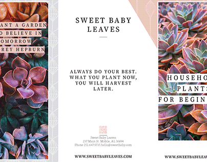 Sweet Baby Leaves Brochure