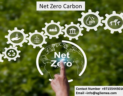 Net Zero Carbon,