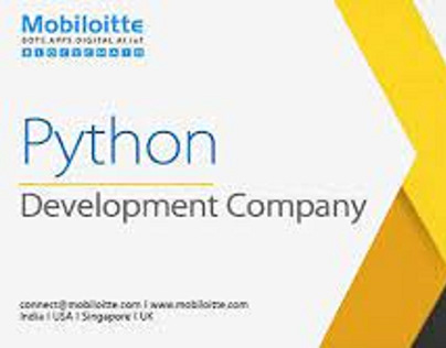 The Python Development Solution
