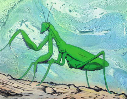 Mr. Mantis
