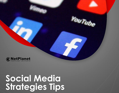 NetPlanet - Social Media Strategy