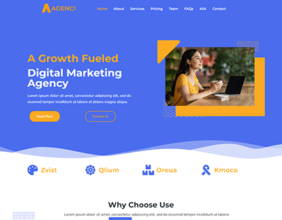 Digital Marketing Agency website Design using WordPress