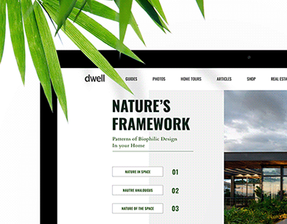 Natures Framework | Editorial Design
