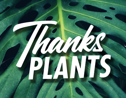 Thanks Plants Brochure