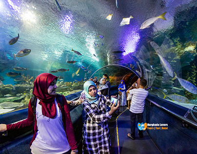 Hurghada Grand Aquarium Ausflüge unternehmungen