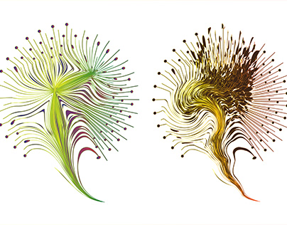 Decorative zen tangle feather boho style colorful.