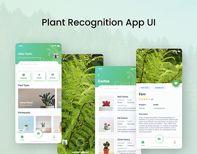 Plant recognition App