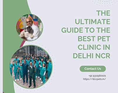 The Ultimate Guide to the Best Pet Clinic in Delhi NCR