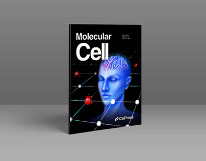 Вариант обложки для Molecular Cell (статья о мозге)