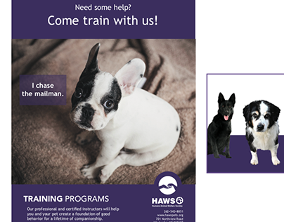 Animal Shelter Training Program Ads