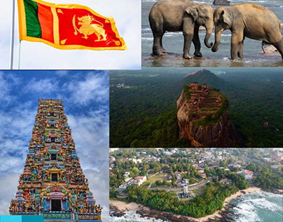 Sri Lanka's Top 10 National Parks for Seeing Wildlife