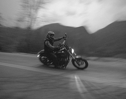 Harley Davidson - Backroads