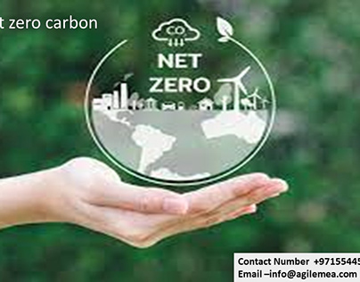 Net Zero Carbon;