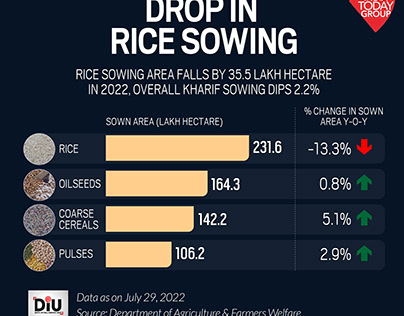 Drop in rice sowing