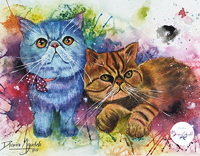 Gatos Ilustrados - Tekila y Zhumir