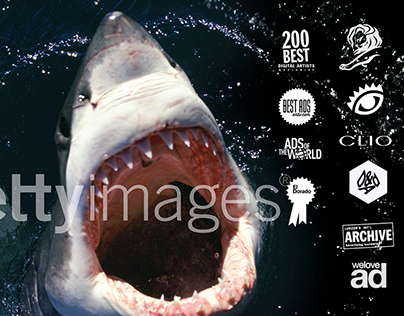 Getty Images: Bear - Shark - Car