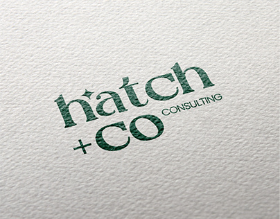 Hatch +co CONSULTING logo